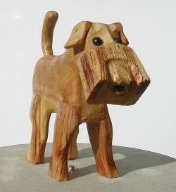 cesky terrier in natural wood