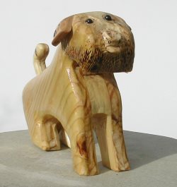 squidgey snouted border terrier in natural wood